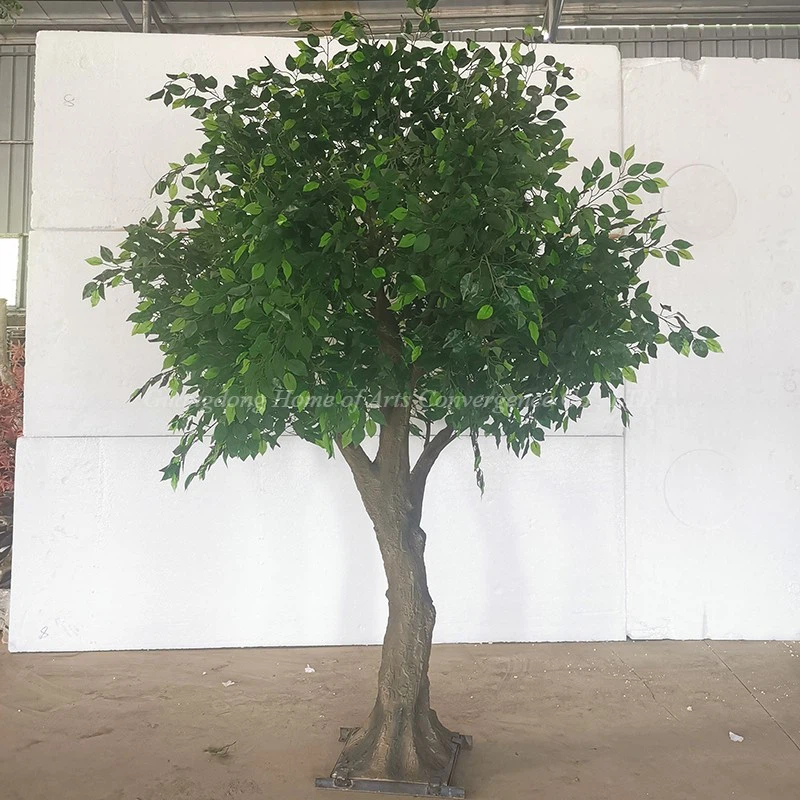 Large Simulated Banyan Trees