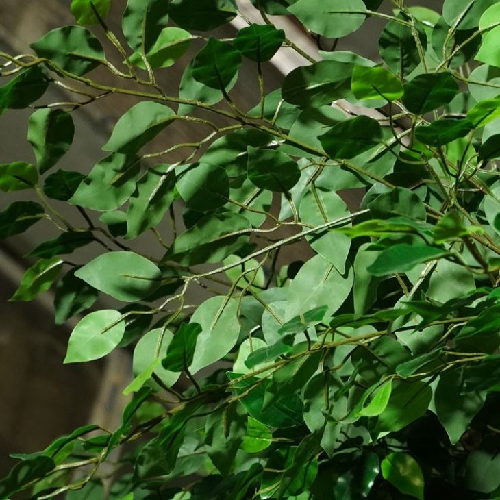UV Resistant Artificial Ficus Tree Outdoor